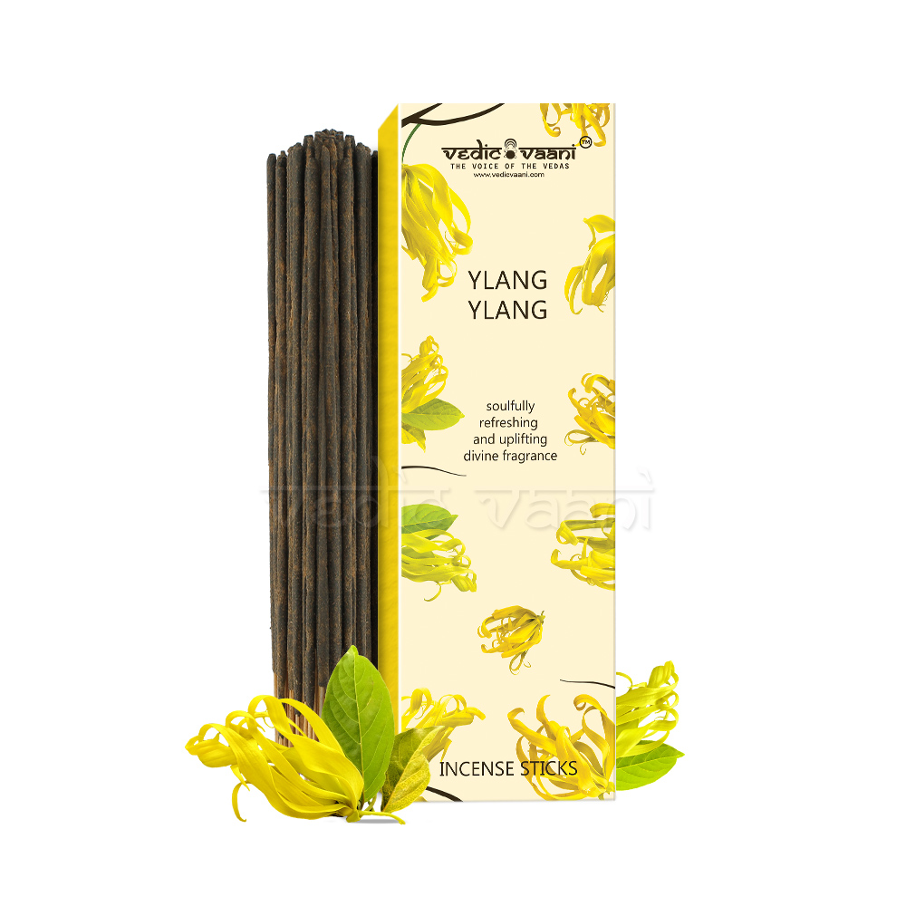 Buy Vedic Vaani Ylang Ylang Incense Sticks At