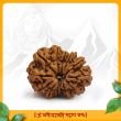 Thirteen (13) Mukhi Rudraksha Bead from Nepal