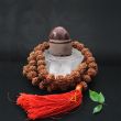 Hindu Deity Very Auspicious Rare Natural Lord Shiva's Ardh-Narishwar Crescent Moon Swarup Banalinga set