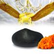 Chakra Dhari Vishnu Garuda Shaligram Shila