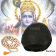 Chakradhari Vishnu Shaligram Shila