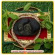 Ganesha vighnaharta vinayake siddh shaligram Shila