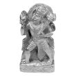 Hanuman Carrying Mountain in Parad