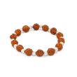 5 Mukhi Rudraksha Bracelet (Java)