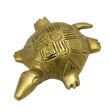 Turtle in Design Brass Work