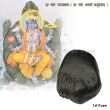 Kurma Avatar Kuber Vastu Vishnu Chakra Shaligram Shila