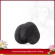 Lambodara Vighnaharta Shaligram Shila