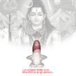 Narmadeshwar Shivlingam with Pure Silver Yonibase for Abhishek