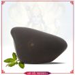 Auspicious Sarvottam Netra Shaligram Shila for Prayer