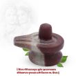 Ardhanarishvara Narmadeshwar Shiva Lingam From Narmada River