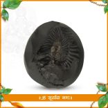 Sudarshan Aditya Arka Sury deva Shaligram