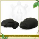 Vishnu Dashavatara Kurma Shaligram Shila