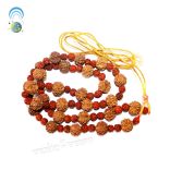 Rudraksha Kantha Mala