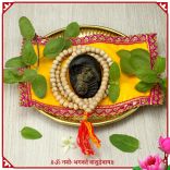 Adishesha Narayan Shree Holy Shaligram Shila