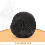 Aditya Bhakthi Vishnu Shaligram Shila