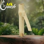 Ark Ganesha