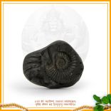 Bhakti Yog Moksha Narsimha Shaligram