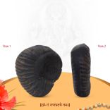 Gajavaktram Shri Sankata Nashanam Ganapati Shaligram