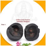 Golden Laxmi Sudarshan Aadi Adwaitya Dhanvantari Shaligram