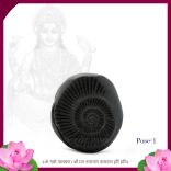 Vishnu Sudarshan chakra Shaligram for Wealth, Protection, Good health and Spiritual Alignment