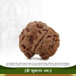 Kartikey Ganadhakshya Gaurisuta Hari Nepal Rudraksha