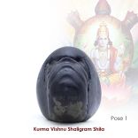 Kurma Vishnu Shaligram Shila