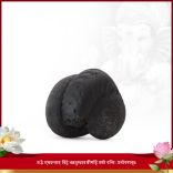 Lambodara Vighnaharta Shaligram Shila