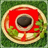 Lord Vishnu Devrupam Matsya Shaligram