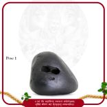 Narsimha Avatar Bhagwan Anish Shaligram