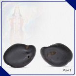 Natural Matsya Avatar Lord Vishnu Shaligram Shila