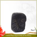 Nikhilabhayaharam Vighnaharan Gajanan Shaligram