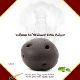 Pradyumna Lord Adi Narayan Vishnu Shaligram