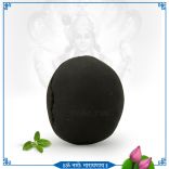 Radhe Krishna Shaligram / Salagram Shila for Worship