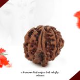 Right Sided Trunk Ganesh Rudraksha