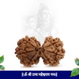 Collector Gauri Shankar Nepal Rudraksha - II