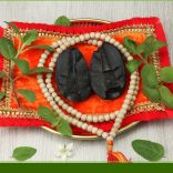 HariHara Vishnu Shaligram Shila