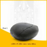 Adwaitya Auspicious Lakshmi Shanku Sudrshan Chakra Namam Shaligram Shila