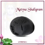 Matsya Shaligram