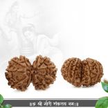 Collector Gauri Shankar Nepal Rudraksha - I