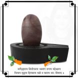 Lord Gangadhara Shiva Aradhna Shivling Abhishekham Set