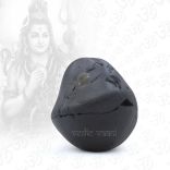 Shivlingam Shaligram Shila