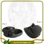 Shree Garuda Govind Narayana Shaligram Sacred Adwitiya Shila