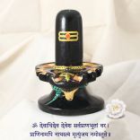 Tripud Shivlingam with Snake in Black Stone