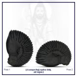 Sixth Incarnation The Warrior Form of Lord Vishnu Parshuram Shaligram Shila