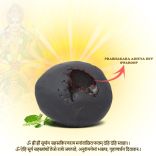 Prabhakara Aditya Dev Lord Vishnu Naryana Shaligram Shila for Sadhana, Wealth, Success And Prosperity