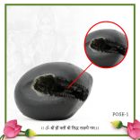 Vaikuntha Lakshmikanta Shaligram