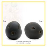 Varaha Vishnu Exotic Small Shaligram Shila