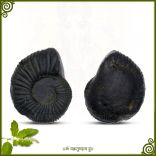 Vighnaharta Ganesh Lakshmi Narayan Shaligram Shila