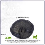 Sudarshan Surya Narayan Shaligram