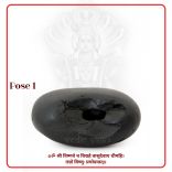  Shaligram Shila for Wisdom